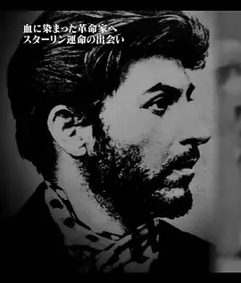 伟人还是暴君？揭秘斯大林：历史争议与权力真相