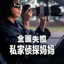 《全面失控：私家侦探妈妈》：当家庭主妇变身硬核侦探，爆笑又刺激！