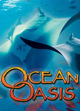 《海洋绿洲》影评：末世之下的人性抉择，一场关于希望与生存的深刻拷问！