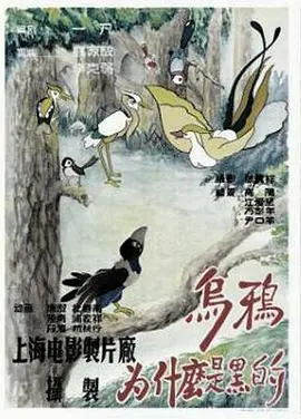 乌鸦为什么是黑的 海报